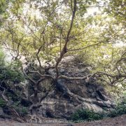 Le Gole dell’Alcantara – Amo Sicilia