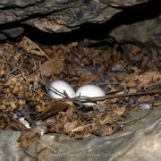 Gole di Tiberio, Madonie – Amo Sicilia