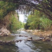 Terme Segestane – Amo Sicilia