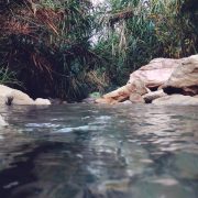 Terme Segestane – Amo Sicilia