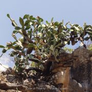 Gole di Tiberio, Madonie – Amo Sicilia