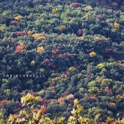 Autunno a Piano Battaglia