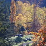 Autunno a Piano Battaglia