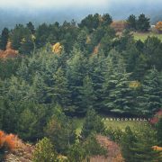 Autunno a Piano Battaglia