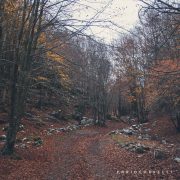 Autunno a Piano Battaglia