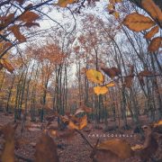 Autunno a Piano Battaglia