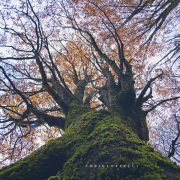 Autunno a Piano Battaglia