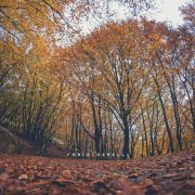 Autunno a Piano Battaglia