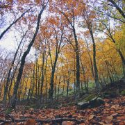 Autunno a Piano Battaglia