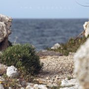 Passeggiata a Punta Barcarello – Fabio Corselli