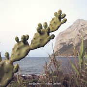 Passeggiata a Punta Barcarello – Fabio Corselli