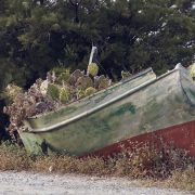 Passeggiata a Punta Barcarello – Fabio Corselli