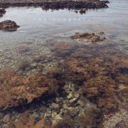 Passeggiata a Punta Barcarello – Fabio Corselli