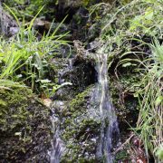 Cascata del Catafurco, Nebrodi – Fabio Corselli