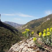 Cascata del Catafurco, Nebrodi – Fabio Corselli