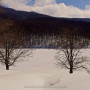 Ciaspolata Lago Maulazzo – Fabio Corselli