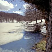 Ciaspolata Lago Maulazzo – Fabio Corselli