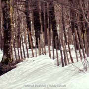 Ciaspolata Lago Maulazzo – Fabio Corselli