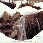 Ciaspolata Lago Maulazzo – Fabio Corselli