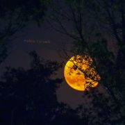 La Luna su Amo Sicilia