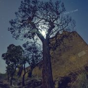 La Luna su Amo Sicilia