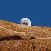 La Luna su Amo Sicilia