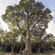 Monte Petroso, San Martino – Amo Sicilia