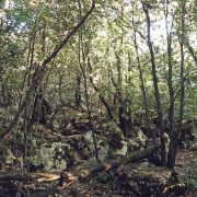 Monte Petroso, San Martino – Amo Sicilia