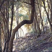 Monte Petroso, San Martino – Amo Sicilia