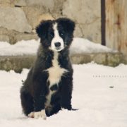 Neve Ventimiglia di Sicilia