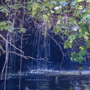 Fiume Oreto, Fontana Lupo – Amo Sicilia