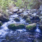 Fiume Oreto, Fontana Lupo – Amo Sicilia