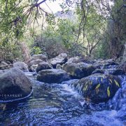 Fiume Oreto, Fontana Lupo – Amo Sicilia