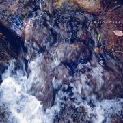 Fiume Oreto, Fontana Lupo – Amo Sicilia