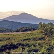 Rocche dell’Argimusco – Amo Sicilia