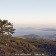 Rocche dell’Argimusco – Amo Sicilia