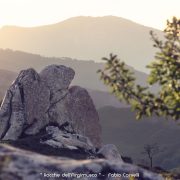 Rocche dell’Argimusco – Amo Sicilia