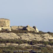 Rocche dell’Argimusco – Amo Sicilia