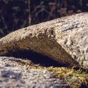 Rocche dell’Argimusco – Amo Sicilia