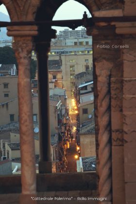 Sui tetti della Cattedrale di Palermo
