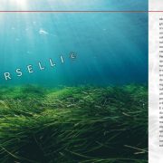 Tesori Invisibili di Mondello – PAgine Libro