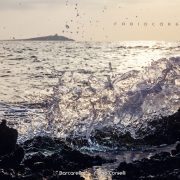 Passeggiata a Punta Barcarello – Fabio Corselli