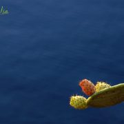 Amo Sicilia – Dedicato al Mare