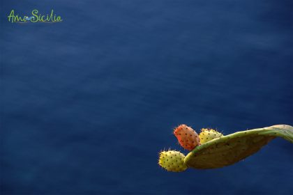 Amo Sicilia - Dedicato al Mare