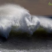 Amo Sicilia – Dedicato al Mare